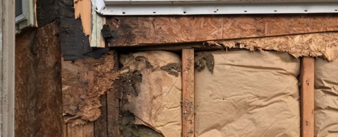 Dry rot repair