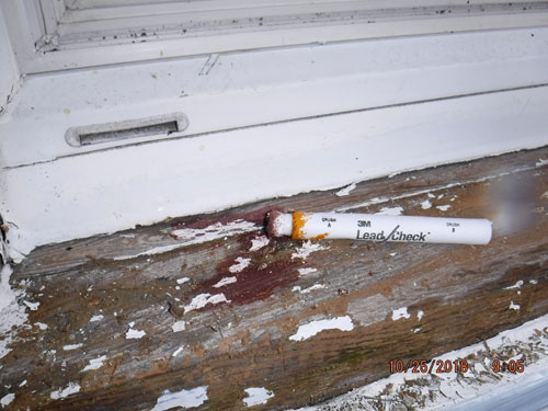 Lead Paint Check
