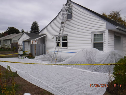 Lead Paint Removal