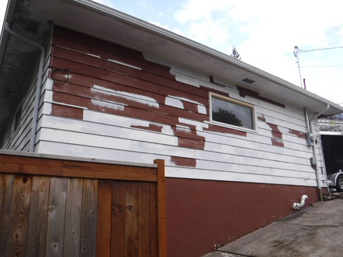 Lead Paint Removal