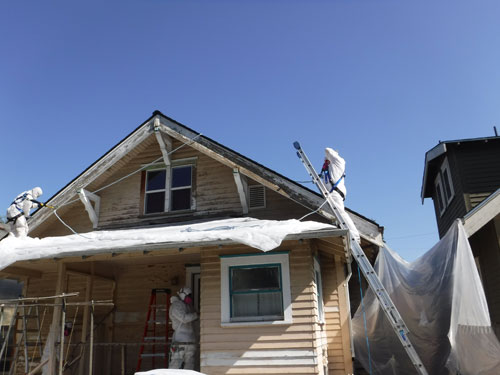 Lead Paint Removal