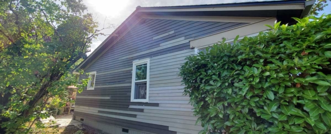 Common Mistakes Homeowners Make When Choosing Paint Colors